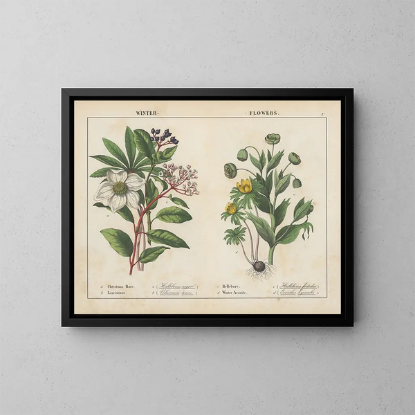 Winter Flowers Painting - Charlotte Mary Yonge — framed artwork on a wall