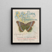 Papillons d'Amérique Pl1 - Chase Sanborn — ingelijst kunstwerk aan de muur
