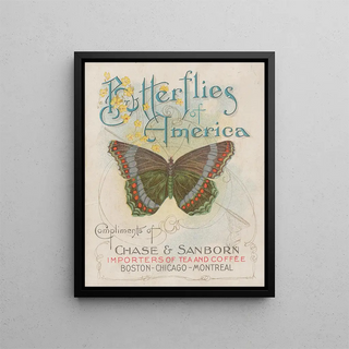 Chase Sanborn - Butterflies of America Pl1.webp