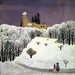 Kasteel Birseck onder de sneeuw - Fritz Baumann — weergave van het kunstwerk