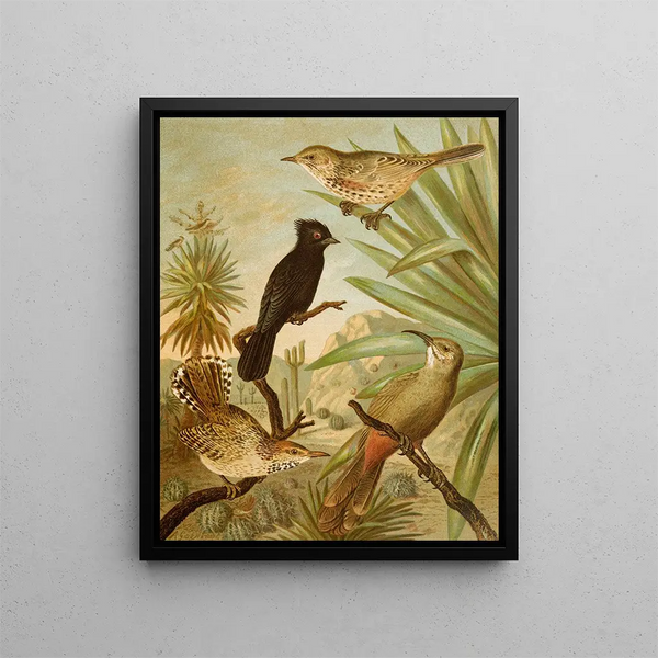 The World of North American Birds pl03 - Christian Anton Goering — framed artwork on a wall