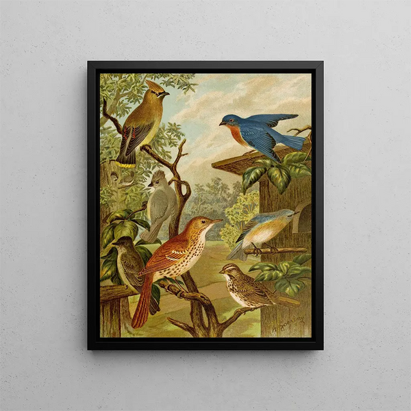 The World of North American Birds pl06 - Christian Anton Goering — framed artwork on a wall