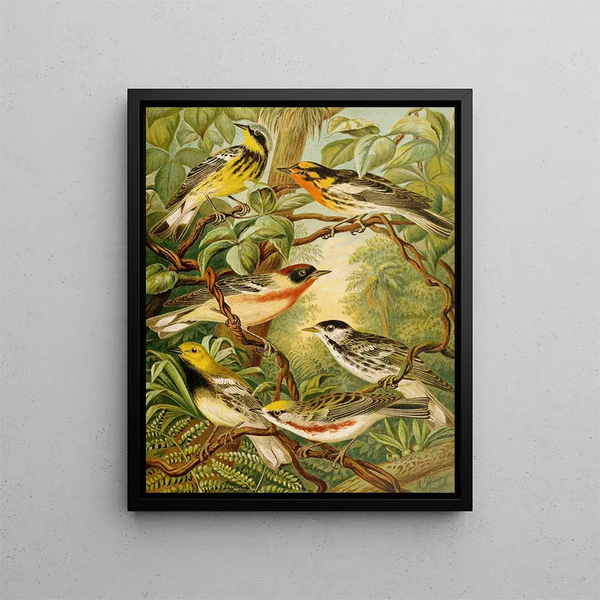 The World of North American Birds pl13 - Christian Anton Goering — framed artwork on a wall