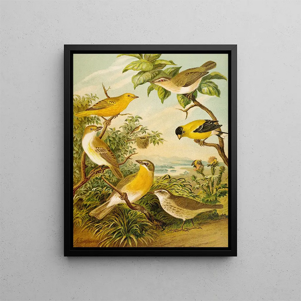 The World of North American Birds pl16 - Christian Anton Goering — framed artwork on a wall