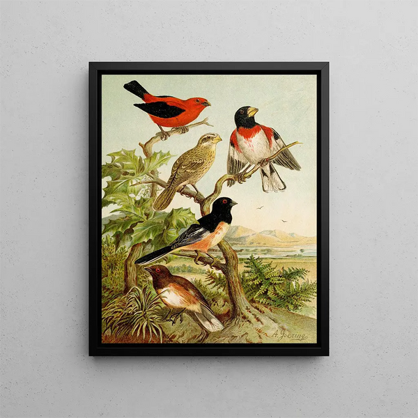 The World of North American Birds pl26 - Christian Anton Goering — framed artwork on a wall