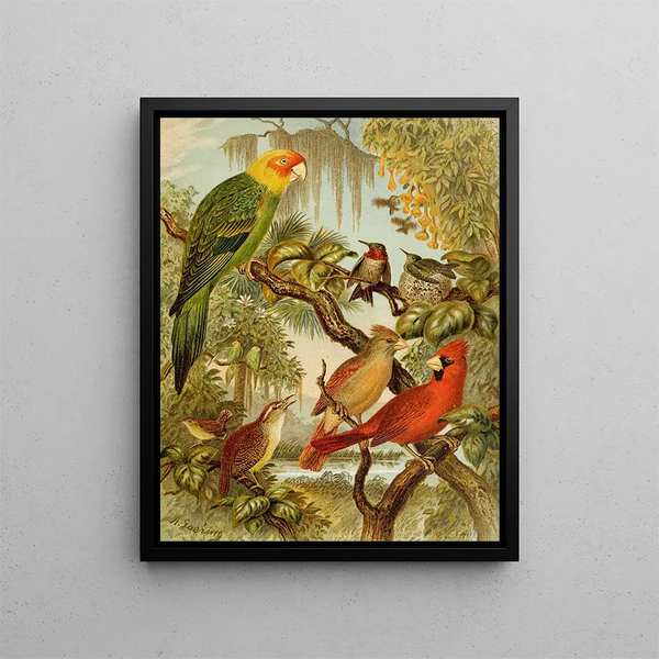 The World of North American Birds pl27 - Christian Anton Goering — framed artwork on a wall