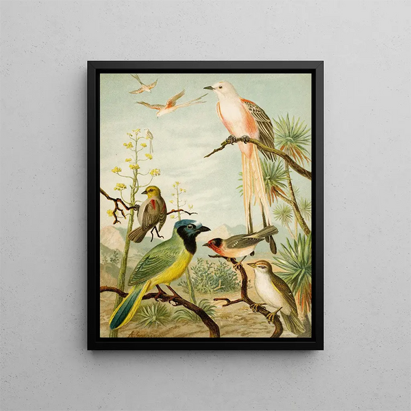 The World of North American Birds pl32 - Christian Anton Goering — framed artwork on a wall