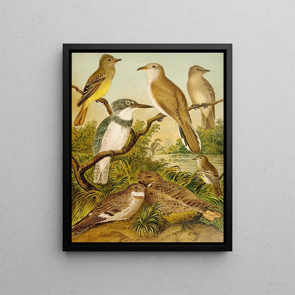The World of North American Birds pl34 - Christian Anton Goering — framed artwork on a wall