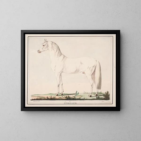 The jumping horse - Christian David Gebauer — framed artwork on a wall