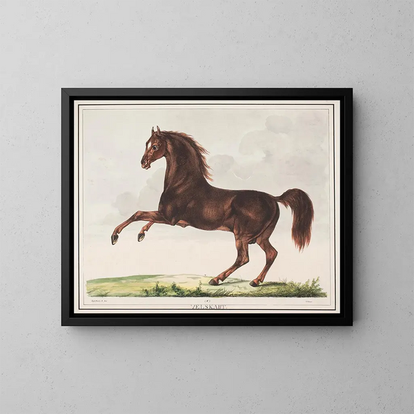 The well-formed horse - Christian David Gebauer — framed artwork on a wall