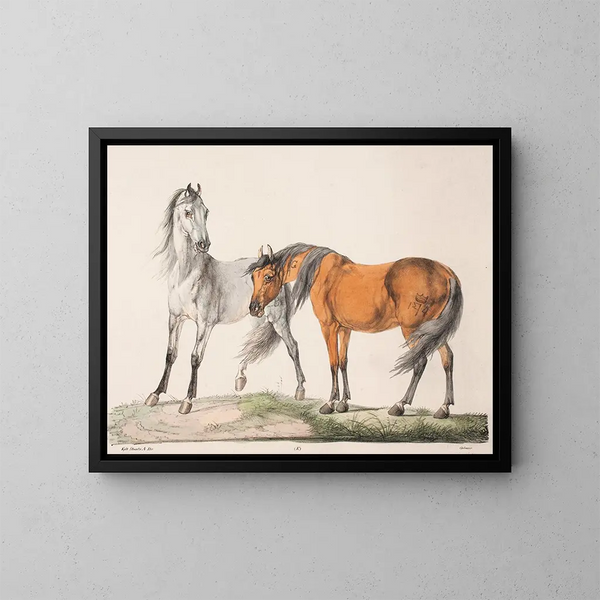 The Horses E G - Christian David Gebauer — framed artwork on a wall