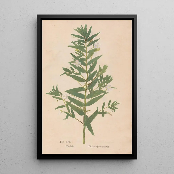 Reproductie van het schilderij Ectypa vegetabilium Pl061 - Christian Gottlieb Ludwig