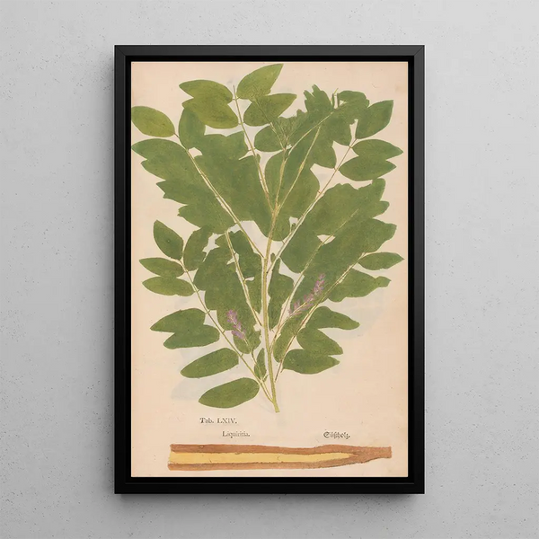 Reproductie van het schilderij Ectypa vegetabilium Pl064 - Christian Gottlieb Ludwig
