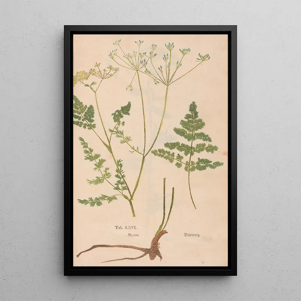 Reproductie van het schilderij Ectypa vegetabilium Pl066 - Christian Gottlieb Ludwig
