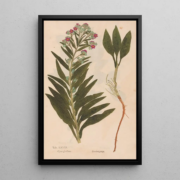 Reproductie van het schilderij Ectypa vegetabilium Pl081 - Christian Gottlieb Ludwig