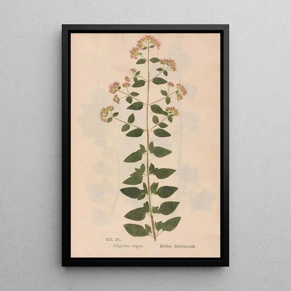 Reproductie van het schilderij Ectypa vegetabilium Pl090 - Christian Gottlieb Ludwig