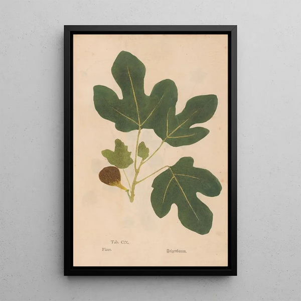Reproductie van het schilderij Ectypa vegetabilium Pl109 - Christian Gottlieb Ludwig