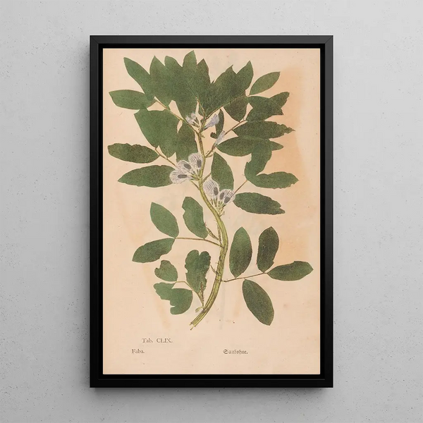 Reproductie van het schilderij Ectypa vegetabilium Pl159 - Christian Gottlieb Ludwig