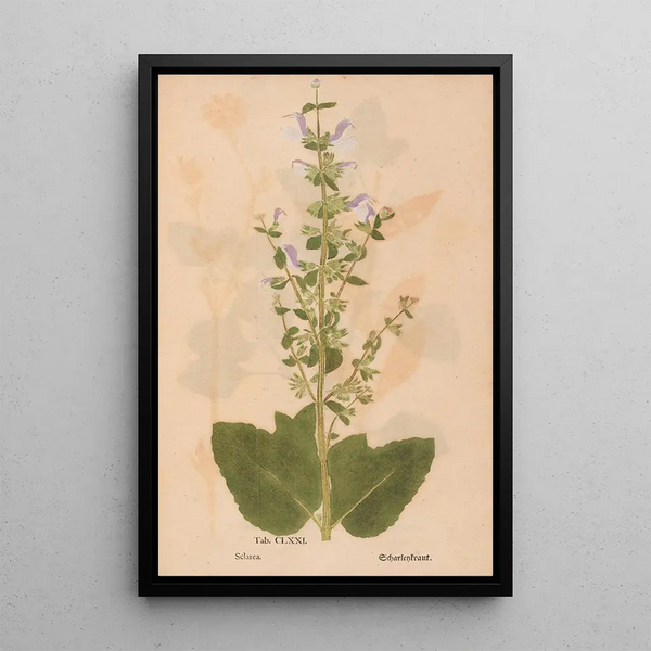 Reproductie van het schilderij Ectypa vegetabilium Pl171 - Christian Gottlieb Ludwig