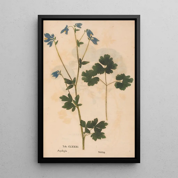 Ectypa vegetabilium Pl181 - Christian Gottlieb Ludwig — ingelijst kunstwerk aan de muur