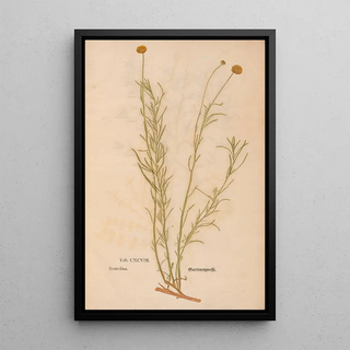 Christian Gottlieb Ludwig - Ectypa vegetabilium Pl198.webp