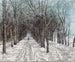 Allée du Belvédère à Weimar - Christian Rohlfs — weergave van het kunstwerk