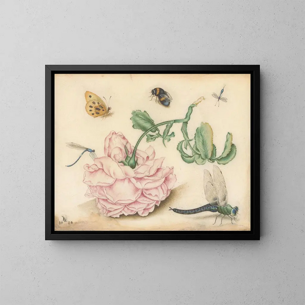 A rose and five insects - Christoffel van den Berghe — framed artwork on a wall