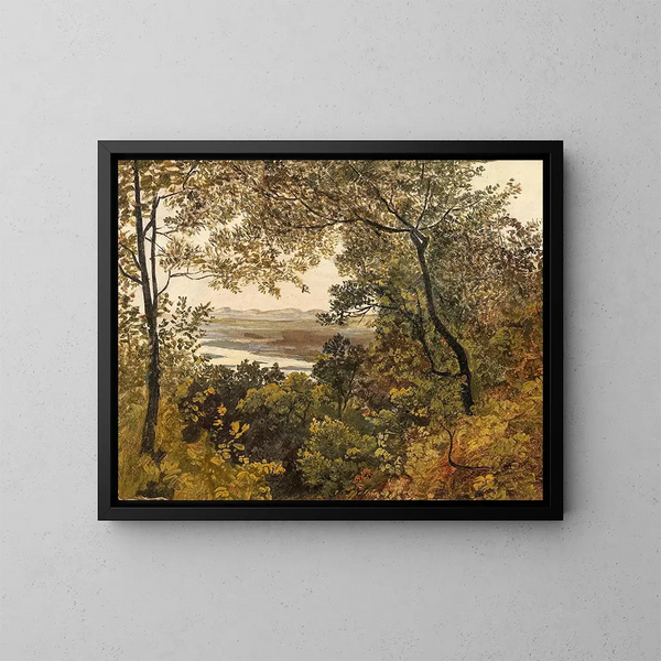 View of the unregulated Danube from Bisamberg - Circle of Friedrich Gauermann — framed artwork on a wall