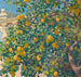 Reproductie van het schilderij Citronbomen in La Mortola - Theo van Rysselberghe