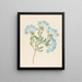 Plumbago capensis Plumbago auriculata - Clemenz Heinrich Wehdemann — ingelijst kunstwerk aan de muur