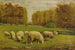 Moutons en weidegang - Clinton Loveridge — weergave van het kunstwerk