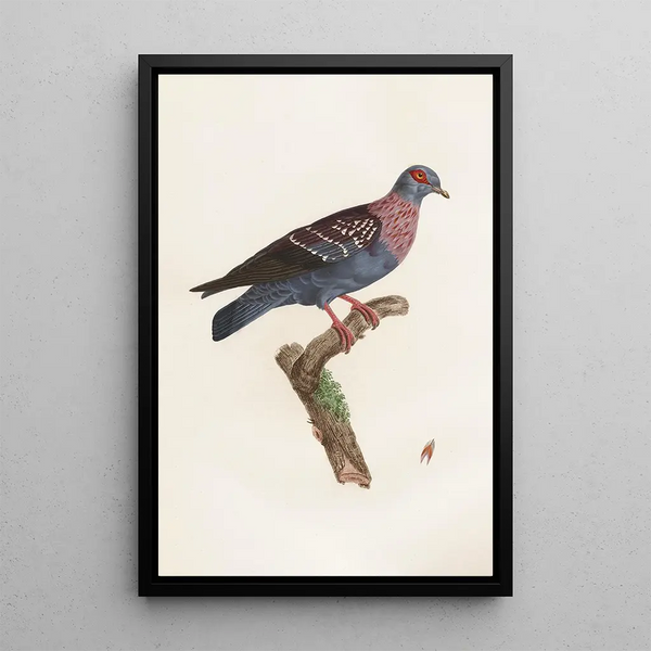 Reproduction of the painting of Les pigeons Pl27 - Coenraad Jacob Temminck