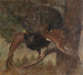 Kraaienbos - Franz Xaver von Pausinger — weergave van het kunstwerk