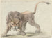 Leeuw - Cornelis Saftleven — weergave van het kunstwerk