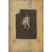 Paravent en trompe-l'œil met een stilleven van twee dode vogels die aan de muur hangen - Cornelius Norbertus Gijsbrechts — weergave van het kunstwerk