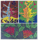 Créations Pl01 - Jef de Schilder — artwork view