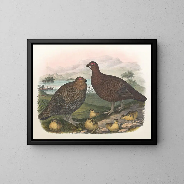 Lagopède des saules - Daniel Giraud Elliot — framed artwork on a wall
