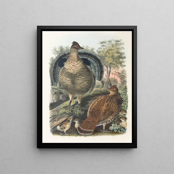 Geelgors met kuif - Daniel Giraud Elliot — ingelijst kunstwerk aan de muur