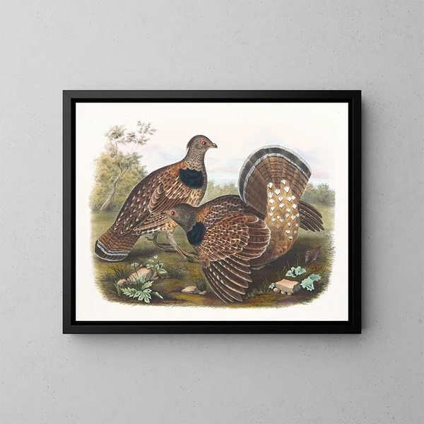 Les Sabines - Daniel Giraud Elliot — framed artwork on a wall