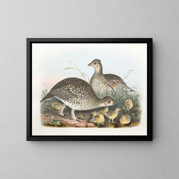 Tetra with pointed tail - Daniel Giraud Elliot — framed artwork on a wall
