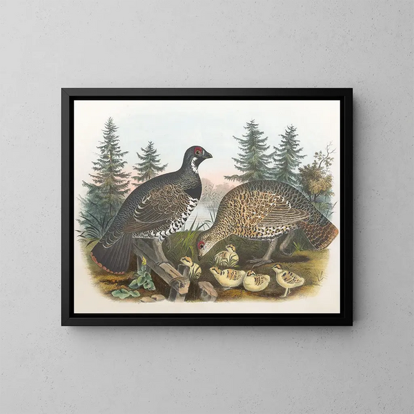 Canadian Grouse - Daniel Giraud Elliot — framed artwork on a wall