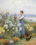 Chrysanthemums - Daniel Ridgway Knight — artwork view