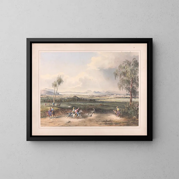 Views of Egerton in Mexico, pl. 10 - Daniel Thomas Egerton — framed artwork on a wall