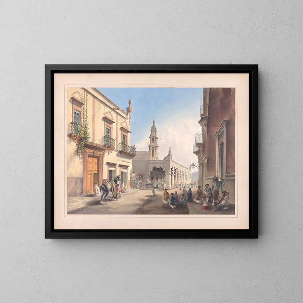 Views of Egerton in Mexico, pl. 11 - Daniel Thomas Egerton — framed artwork on a wall