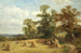 van een maïsveld in West Malvern - David Bates — weergave van het kunstwerk