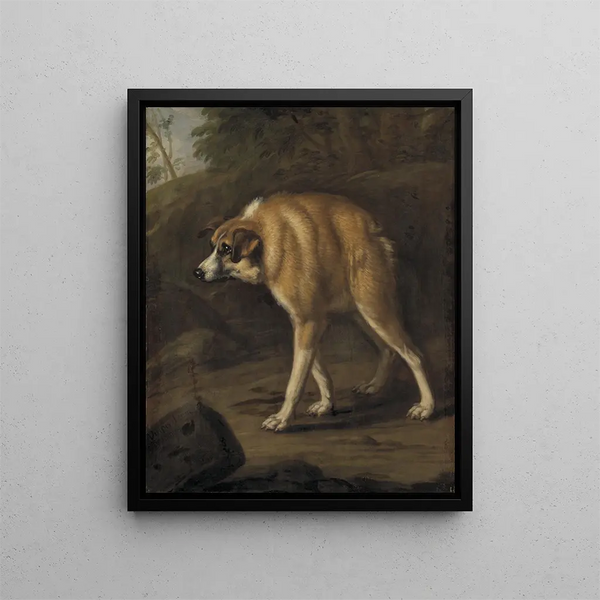 Hond Missbildad - David Klöcker Ehrenstrahl — ingelijst kunstwerk aan de muur