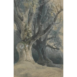 David Roberts - Trees in Northwick Park.webp