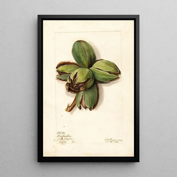 Reproductie van het schilderij Carya Frotscher - Deborah Griscom Passmore
