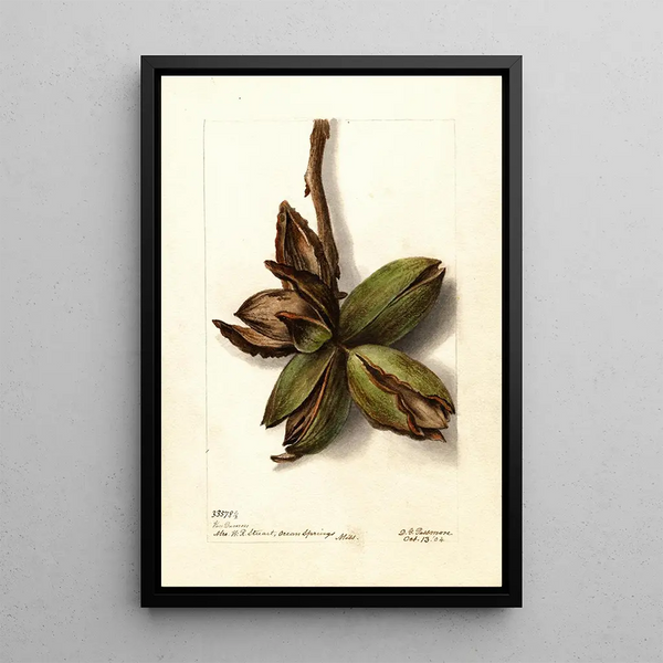Reproductie van het schilderij Carya Van Deman - Deborah Griscom Passmore
