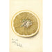 Reproductie van het schilderij Citrus paradisi Silver Cluster - Deborah Griscom Passmore